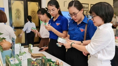 Businesses proactively protect their brands from counterfeit goods