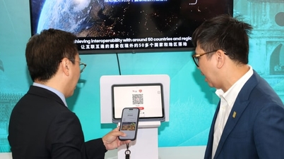 Implementación de un servicio de pago transfronterizo mediante código QR entre Vietnam y China