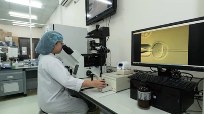 Mais 19 doutores formados no exterior retornam para lecionar na Universidade Nacional da Cidade de Ho Chi Minh.