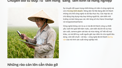 Hanoi aplică tehnologia digitală în agricultură Hanoi