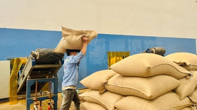 Gia Lai passerer 3,2 milliarder dollar-merket og gjør et omfattende gjennombrudd.