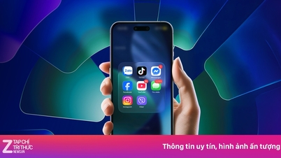 Customer care effectiveness on the most popular messaging platforms