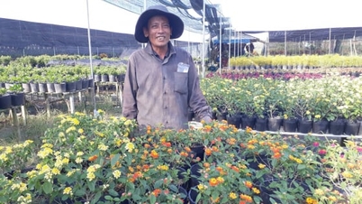 مهرجان الزهور والزينة الثاني في سا ديسمبر قادم قريبًا