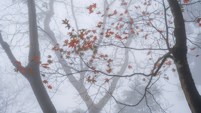 Tay Con Linh'i fethedin, Kuzeydoğu'nun efsanevi dağ zirvesine yolculuk