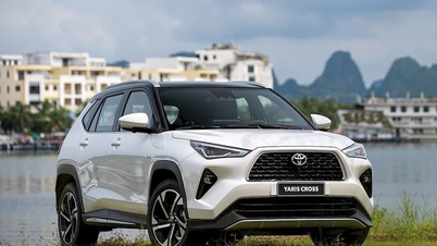 Toyota Vietnam a vândut aproape 8.000 de mașini în noiembrie 2025