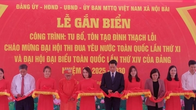 De gemeente Noi Bai opende en installeerde borden voor de gemeenschapshuizen Thach Loi en Ninh Mon.