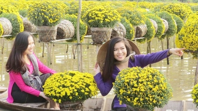 Донг Тхап: Продвижение коммуникации и продвижение 2-го фестиваля цветов и декоративных растений «Саб Дек» в 2025 году