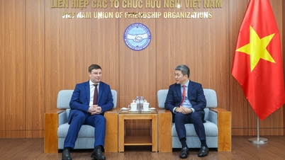 Posílení spolupráce v oblasti vzdělávání, podpora přátelství mezi Vietnamem a Ruskem