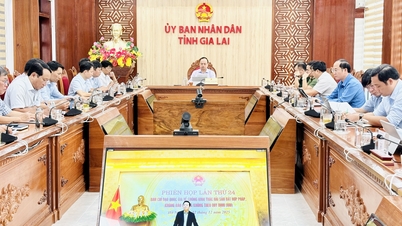 उप प्रधान मंत्री ट्रान होंग हा ने आईयूयू मछली पकड़ने से निपटने के लिए राष्ट्रीय संचालन समिति की बैठक की अध्यक्षता की।