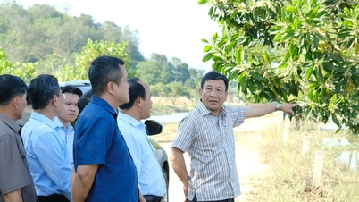 ທ່ານ ບຸຍທັງ ຮອງເລຂາຄະນະພັກແຂວງເລີມດົ່ງ ສຳຫຼວດຄວາມເສຍຫາຍຈາກໄພນ້ຳຖ້ວມຢູ່ຕາແສງກາດຕຽນ.