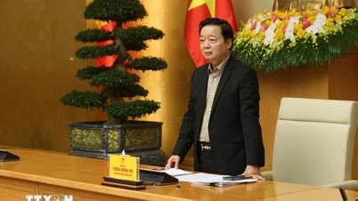 Zdokonalování datového systému, důkladné řešení porušení předpisů týkajících se nezákonného, ​​nehlášeného a neregulovaného rybolovu