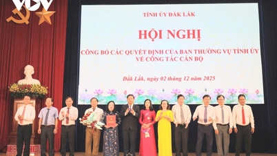 Дак Лак объявил о решении по кадровой работе.