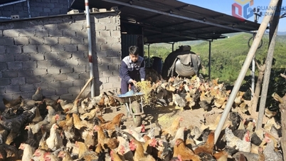 Tien Yen desenvolve competências nas áreas da agricultura e da silvicultura.