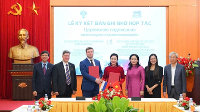 Tăng cường hợp tác quốc tế trong nghiên cứu, bảo tồn và phát huy giá trị di sản Chủ tịch Hồ Chí Minh