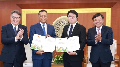 Cooperation to promote sustainable growth and realize the Net Zero goal