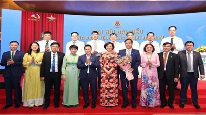 نقابة عمال الغاز الكهروضوئي: التضامن والديمقراطية والانضباط والابتكار والتنمية