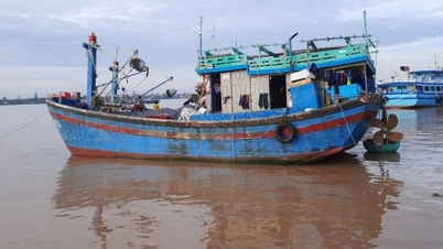 ด่งทับควบคุมเรือประมงที่ไม่ตรงตามเงื่อนไขการแสวงหาประโยชน์จากผลิตภัณฑ์ทางน้ำอย่างเข้มงวด