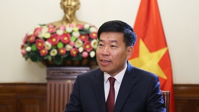 ویتنام-لاؤس بین الحکومتی کمیٹی کا 48 واں اجلاس: دونوں ممالک کے درمیان تعاون کے لیے اسٹریٹجک واقفیت