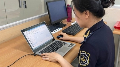 कस्टम्स ने ज़ालो ओए एप्लिकेशन पर वर्चुअल असिस्टेंट के साथ व्यावसायिक सहायता की गुणवत्ता में सुधार किया