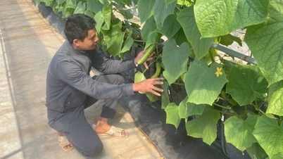 การท่องเที่ยวเชิงเกษตรช่วยให้ประชาชนหลุดพ้นจากความยากจน