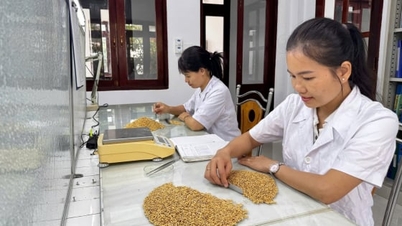 สถาบันนาโหได้รับการแต่งตั้งจากกระทรวงเกษตรและสิ่งแวดล้อมเพื่อทดสอบคุณภาพเมล็ดพันธุ์พืช