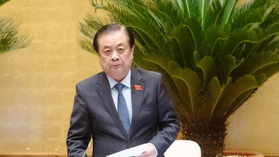 Considere reajustar la estructura de capital y la divergencia de inversiones