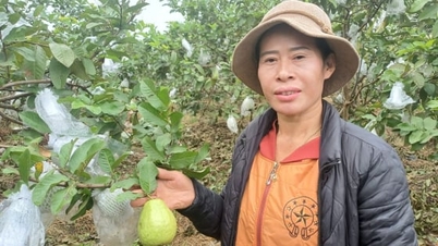 '풀크럼'은 사람들이 고국에서 든든하게 부자가 될 수 있도록 돕습니다.
