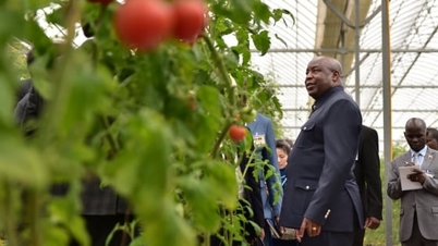 কৃষিতে দক্ষিণ-দক্ষিণ সহযোগিতা কর্মী গোষ্ঠী প্রতিষ্ঠা