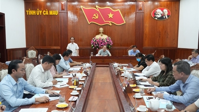 Le Comité permanent du parti provincial travaille avec le Comité provincial du Front de la patrie et les organisations socio-politiques.