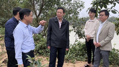 Survey of residential areas before the 11th Session of the 8th City People's Council