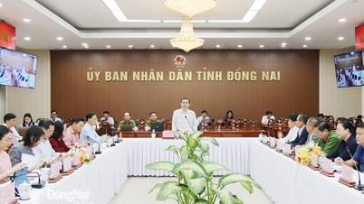 Reviewing the progress of tasks on breakthroughs in science and technology development, innovation and national digital transformation