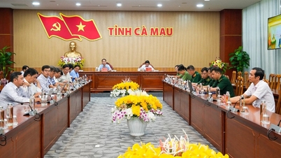 O Governo realizou uma reunião online sobre o combate à pesca ilegal, não declarada e não regulamentada (IUU).