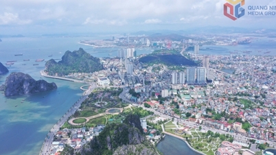 क्वांग निन्ह ने एक व्यापक सफलता हासिल की है, जो उत्तर में एक गतिशील विकास ध्रुव के रूप में अपनी स्थिति की पुष्टि करता है