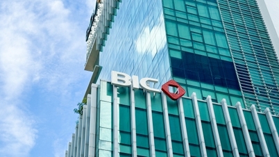BIC ضمن قائمة أفضل 500 شركة الأكثر ربحية في فيتنام للمرة التاسعة على التوالي