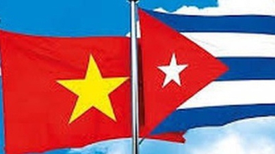 Vietnam-Küba diplomatik ilişkilerinin kuruluşunun 65. yıl dönümü dolayısıyla kutlama mesajı