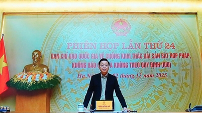 The 24th meeting of the National Steering Committee on combating IUU fishing