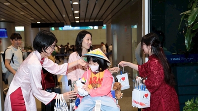 Dalam 11 bulan, Da Nang melayani 16,5 juta tamu yang menginap.