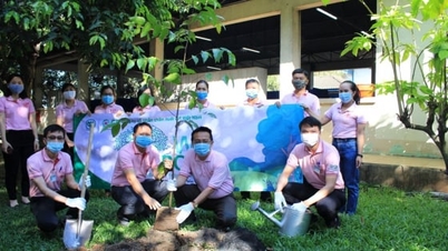 CP Vietnam franchit le cap des 1,5 million d'arbres dans sa stratégie ESG à long terme