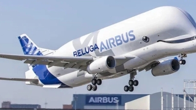 Los aviones Airbus A320 enfrentan nuevos problemas tras una falla de software