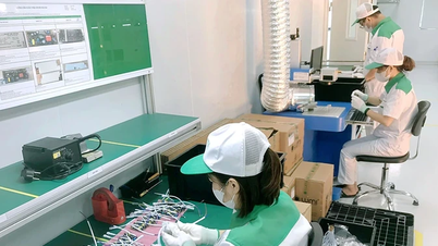 فو تو با سرعت بیشتری در سال اول پس از ادغام به پایان می‌رسد