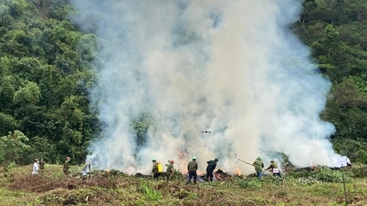 Учения по предотвращению и тушению лесных пожаров Cat Tien 3 в 2025 году