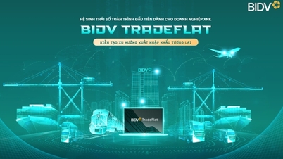 BIDV TradeFlat - solution for import-export businesses to break through