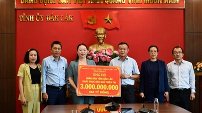 Город Хюэ выделил 3 миллиарда донгов на помощь провинции Даклак в преодолении последствий стихийных бедствий.