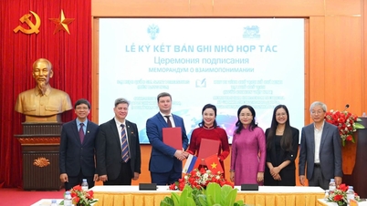 Preservar y promover el valor del patrimonio del Presidente Ho Chi Minh para el mundo