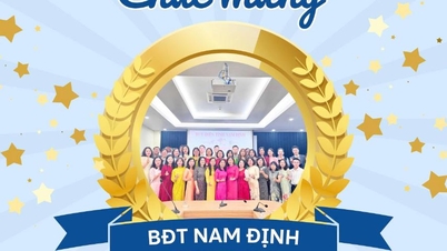 A Ninh Binh tartományi postahivatal - Nam Dinh Üzleti Központ sikeresen teljesítette a 2025-ös nem életbiztosítási szolgáltatási tervet