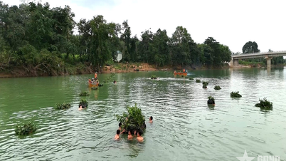 रेजिमेंट 19 (डिवीजन 968, सैन्य क्षेत्र 4) 2025 में बटालियन स्तर पर एक व्यापक सामरिक अभ्यास आयोजित करेगी