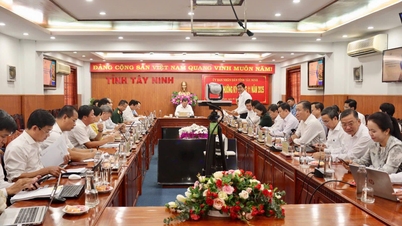 Tay Ninh determined to maintain economic growth target