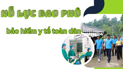 Efforts to achieve universal health insurance coverage