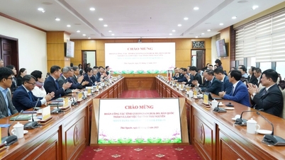 Vedoucí představitelé provincie Thai Nguyen přijali a pracovali s delegací provincie Gyeongsangbuk-do v Koreji