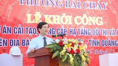 بای چای وارد، ساخت مجموعه‌ای از پروژه‌ها را برای نوسازی، ارتقاء زیرساخت‌های شهری و مناطق مسکونی آغاز کرد.